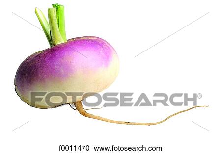Turnip View Large Photo Image Stock Image - Turnip. Fotosearch
