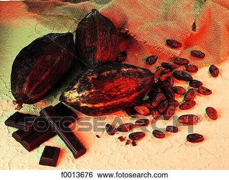 Cocoa beans and chocolate bars View Large Photo Image Stock Photograph - Cocoa beans and chocolate bars. Fotosearch