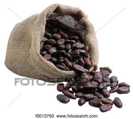 Stock Image - Cocoa beans. Fotosearch