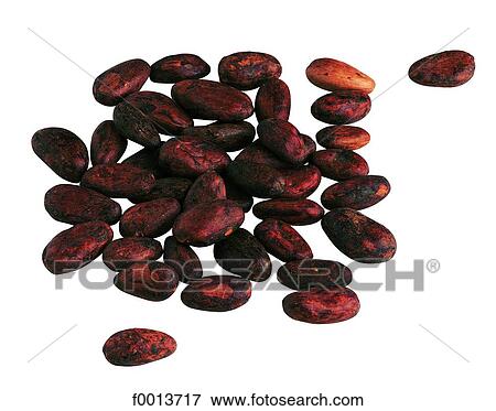 Stock Photo - Cocoa beans. Fotosearch