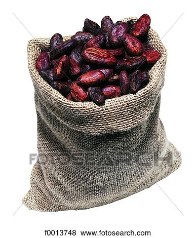 Stock Photo - Cocoa beans. Fotosearch
