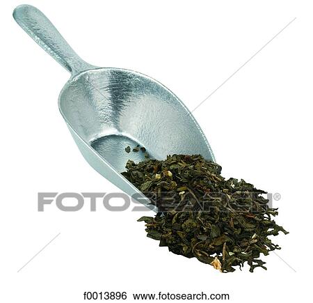 Jasmine tea View Large Photo Image Stock Photograph - Jasmine tea. Fotosearch