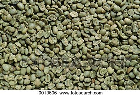 Unroasted Coffee Beans >> Unroasted Coffee Beans Stock Photograph F0013606 Fotosearch Unroasted Coffee Beans >> Unroasted Coffee Beans Stock Photograph F0013606 Fotosearch