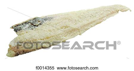 Cod fillet View Large Photo Image Stock Photography - Cod fillet. Fotosearch