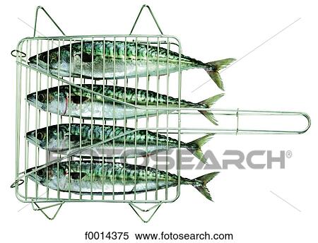 Grilled mackerel View Large Photo Image Stock Photography - Grilled mackerel. Fotosearch
