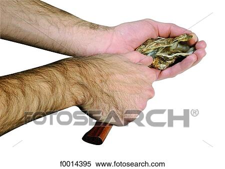 Stock Photography - Opening an oyster. Fotosearch