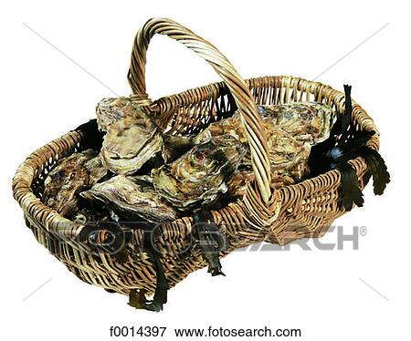 Oyster basket View Large Photo Image Stock Photo - Oyster basket. Fotosearch