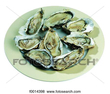Stock Photo - Oyster plate. Fotosearch