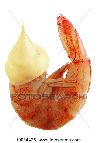 Prawn and mayonnaise View Large Photo Image Stock Photography - Prawn and mayonnaise. Fotosearch