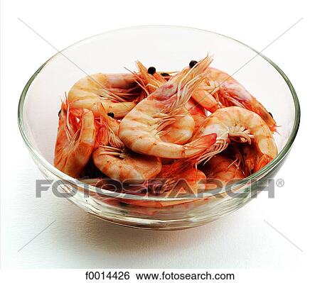 Prawn View Large Photo Image Stock Photograph - Prawn. Fotosearch