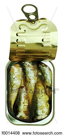 Sardines in oil View Large Photo Image Stock Photo - Sardines in oil. Fotosearch