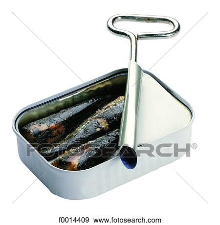 Stock Photo - Sardines in oil. Fotosearch