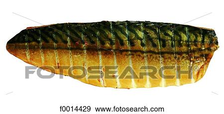 Smoked mackerel View Large Photo Image Stock Photo - Smoked mackerel. Fotosearch
