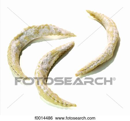 Gazelle horn View Large Photo Image Stock Photograph - Gazelle horn. Fotosearch