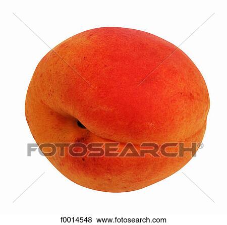Stock Photo - Apricot. Fotosearch