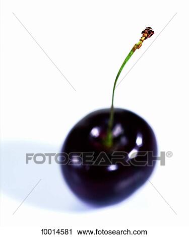 Black cherry View Large Photo Image Stock Image - Black cherry. Fotosearch