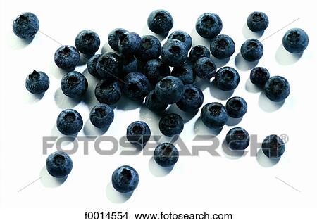 Blueberries View Large Photo Image Picture - Blueberries. Fotosearch