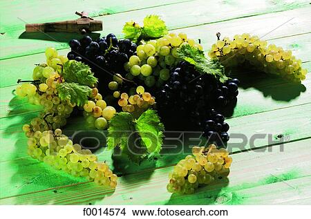 Picture - Bunch of grapes. Fotosearch