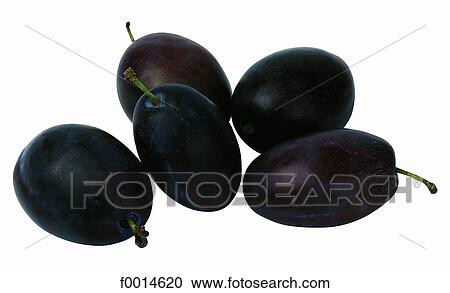 Dark-red plums View Large Photo Image Stock Image - Dark-red plums. Fotosearch