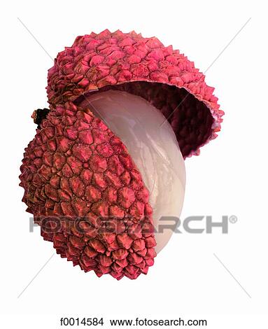 Lychee View Large Photo Image Picture - Lychee. Fotosearch