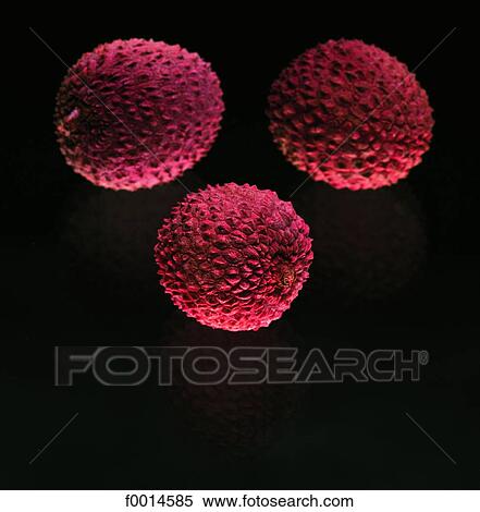 Lychees View Large Photo Image Stock Photography - Lychees. Fotosearch