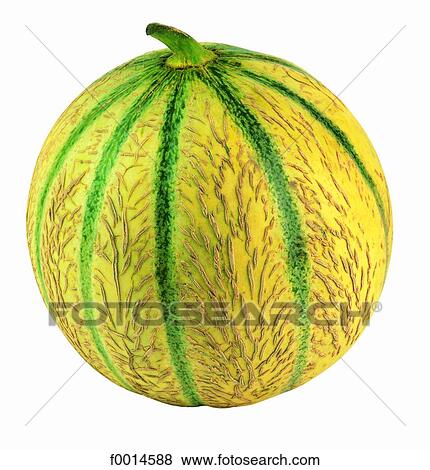 Melon View Large Photo Image Stock Photo - Melon. Fotosearch