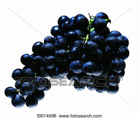 Muscat bleu View Large Photo Image Stock Photograph - Muscat bleu. Fotosearch