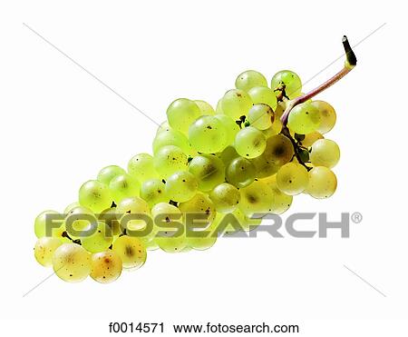 Stock Image - Muscat grape. Fotosearch