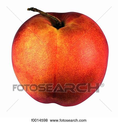 Nectarine View Large Photo Image Stock Photo - Nectarine. Fotosearch