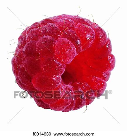 Raspberry View Large Photo Image Stock Image - Raspberry. Fotosearch