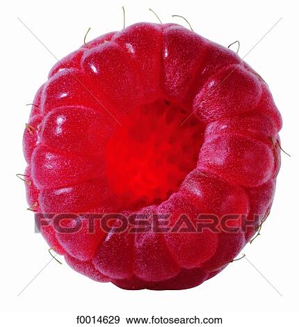 Stock Photo - Raspberry. Fotosearch