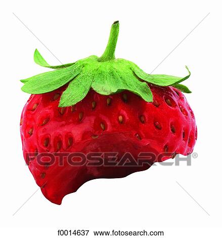 Stock Photo - Strawberry. Fotosearch