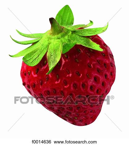 Strawberry View Large Photo Image Stock Photograph - Strawberry. Fotosearch