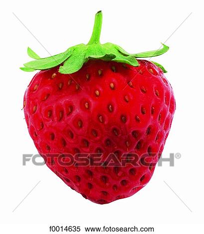 Strawberry View Large Photo Image Stock Photography - Strawberry. Fotosearch