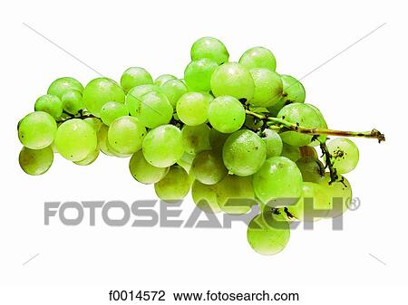 Stock Image - White grape. Fotosearch