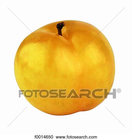 Stock Image - Yellow plum. Fotosearch