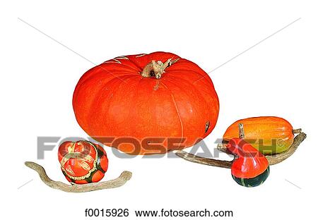 Celebrations: Hallow'een decorations View Large Photo Image Stock Photograph - Celebrations: Hallow'een decorations. Fotosearch