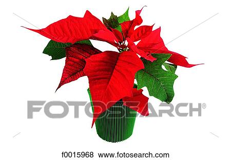 Celebrations: spanish Christmas View Large Photo Image Stock Photo - Celebrations: spanish Christmas. Fotosearch