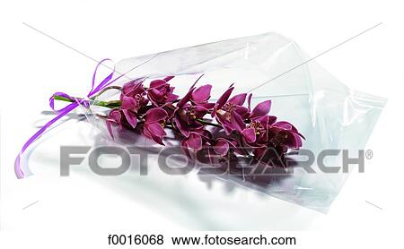 Bouquet of orchids View Large Photo Image Stock Photo - Bouquet of orchids. Fotosearch