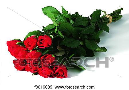 Stock Photo - Bouquet of red roses. Fotosearch