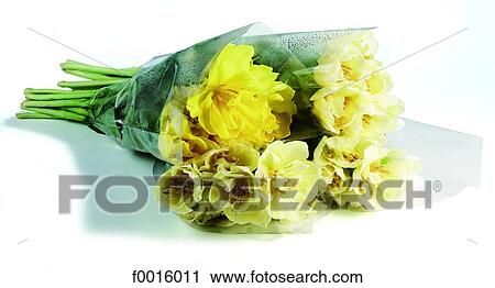 Stock Image - Yellow bouquet. Fotosearch