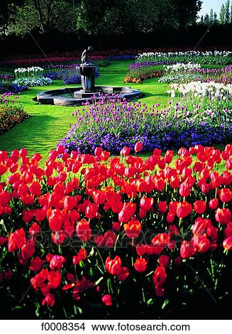 London, Regents Park, Queens Garden in summer View Large Photo Image Picture - London, Regents Park, Queens Garden in summer. Fotosearch