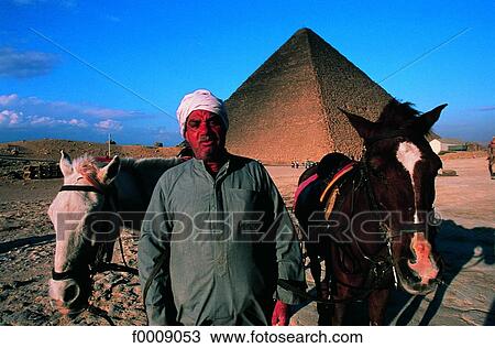 Egypt, Cairo, Giza, pyramid and horses View Large Photo Image Stock Image - Egypt, Cairo, Giza, pyramid and horses. Fotosearch
