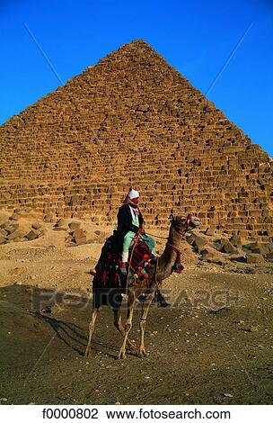 Egypt, Cairo, Giza, pyramids and camel driver View Large Photo Image Stock Image - Egypt, Cairo, Giza, pyramids and camel driver. Fotosearch