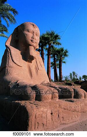 Egypt, Luxor, the Sphinx alley View Large Photo Image Stock Image - Egypt, Luxor, the Sphinx alley. Fotosearch
