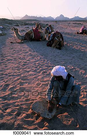 Egypt, Sinaï, baking bread in a beduin camp View Large Photo Image Stock Image - Egypt, Sinaï, baking bread in a beduin camp. Fotosearch