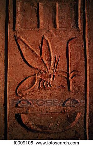 Egypt, Temple of Kalabcha, hieroglyph: bee View Large Photo Image Stock Photography - Egypt, Temple of Kalabcha, hieroglyph: bee. Fotosearch