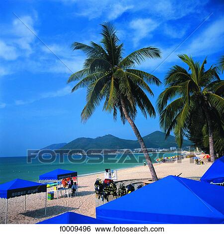 Stock Photograph - China, Hainan, Sanya. Fotosearch