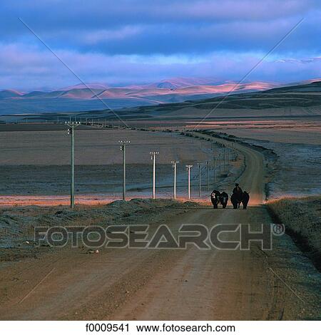 Stock Image - China, Sichuan, road. Fotosearch