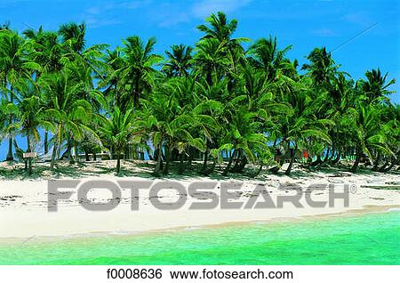 Bahamas, beach View Large Photo Image Stock Photograph - Bahamas, beach. Fotosearch